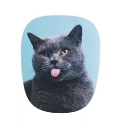 Mouse Pad Reliza NeoBasic Funny Cat 5340 Oval Neoprene BT 1 UN